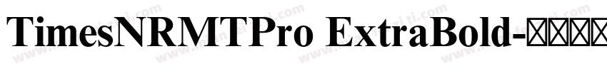 TimesNRMTPro ExtraBold字体转换
